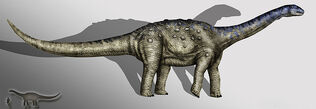 800px-Aeolosaurus copia.jpg