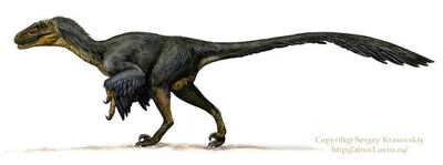 SergeyKrasovskiyBalaur.jpg