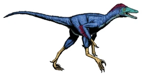 Sinornithosaurus3