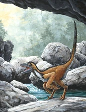 Sinornithosaurus2