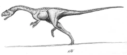 Chindesaurus