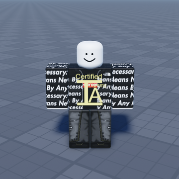 Combat Dummy (Uncertified), Roblox Item Asylum Wiki