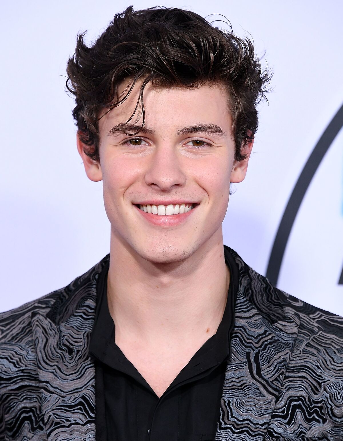 Shawn Mendes Wikipedia: Controversies And Surprises - df9pfbn