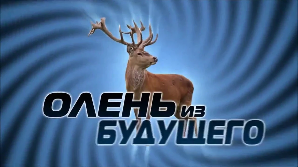 Олень караоке. Олень из будущего. Олень Юджин. Олень из будущего фото. Юджин олень из.