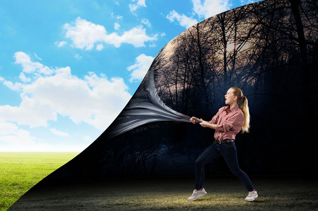 Мозг эстетика. Искажение реальности. Преднамеренное и сознательное искажение исторической реальности. Подсознание человека. Причины искажения информации.