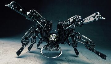 Coraabopedia Bot by Dennis Hoppe.jpg