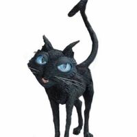 The Cat Coraline Wiki Fandom