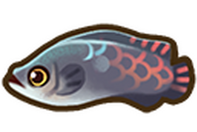 Yellowfin tuna - Simple English Wikipedia, the free encyclopedia