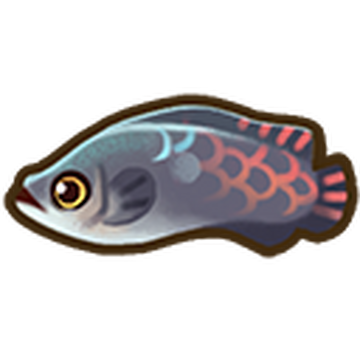 Arapaima | Coral Island Wiki | Fandom