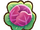 Red cabbage