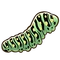 Eastern black swallowtail