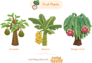 Fruit Plants
