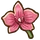 Orchid