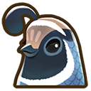 Quail | Coral Island Wiki | Fandom