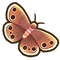 Little wood satyr butterfly