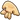Gallimimus pelvis