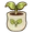Seedling