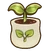 Seedling