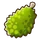 Jackfruit