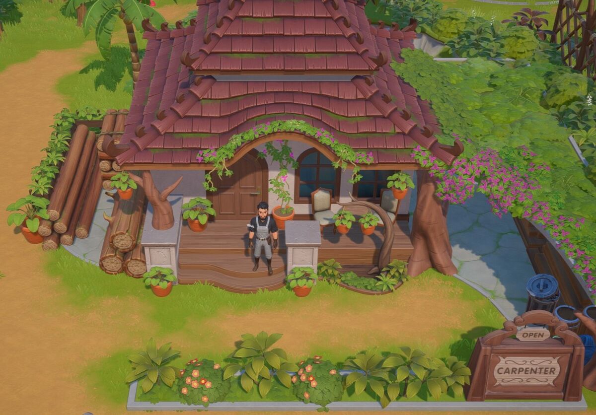 Carpenter Coral Island Wiki Fandom