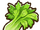 Celery