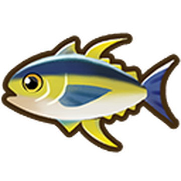Yellowfin tuna, Coral Island Wiki