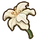 Lily (flower)