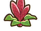 Amaranth