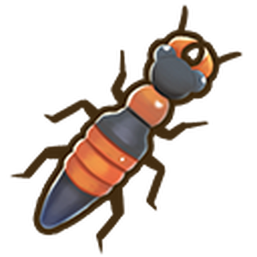 Rove beetle Coral Island Wiki Fandom
