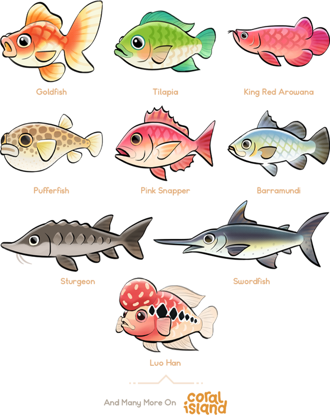 Classification of the fish species based on the mean abundance