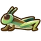 Grasshopper