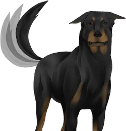 este es el perro demonio final