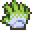 Thorny skin