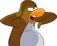 PLEASE STOP YOU PINK PUFFLE! This penguin disapproves the picture on the right due to the puffle making fun of him.