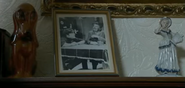 A photo of Minnie and Jed from the 1960s in Jed Stone's living room (August 2008)