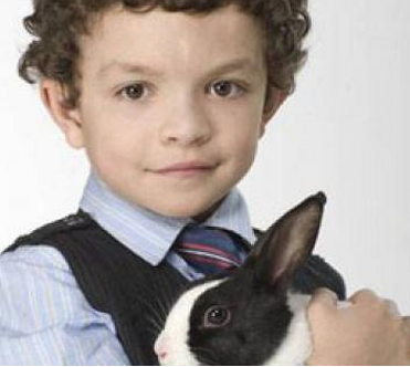 Rabbit lamp hotsell coronation street