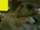 Episode 2825 (25th April 1988)