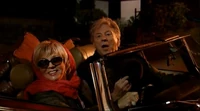 : Gloria leaves with 