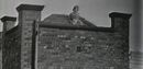 Christine Hardman atop the roof of Elliston's factory, 1962