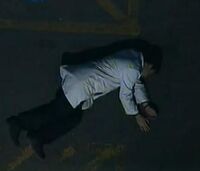 : John is presumably killed in a fall