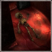 Makota Asada (Leader)