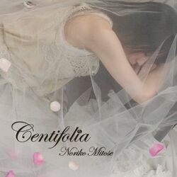 Centifolia-Noriko Mitose