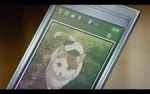 A picture of a cat in Sakutaro's phone.
