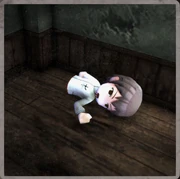 Osamu Hisano (Researcher)