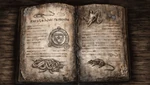 A page inside the Book of Shadows