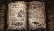 Page in Book of Shadows
