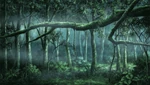 A picture that Ayumi finds, depicting the forest with a noose hanged on a tree branch