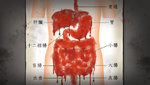 Anatomical diagram, dripping with blood, alternative of the previous CG