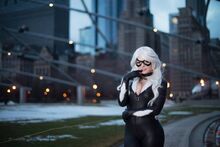 Black Cat