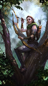 Bosmer (Wood elves)